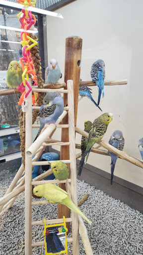 Pet Supply Store «Petco Animal Supplies», reviews and photos, 86 Storrs Rd, Mansfield Center, CT 06250, USA