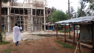 Photos of Abune TekleHaymanot ( አቡነ ተክለ ሃይማኖት )