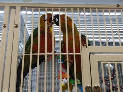 Pet Supply Store «Pet Supplies Plus», reviews and photos, 101 Sutton Ave, Oxford, MA 01540, USA