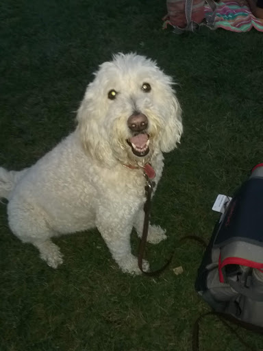 Pet Store «Pet Valu», reviews and photos, 490 Shrewsbury Plaza, Shrewsbury, NJ 07702, USA