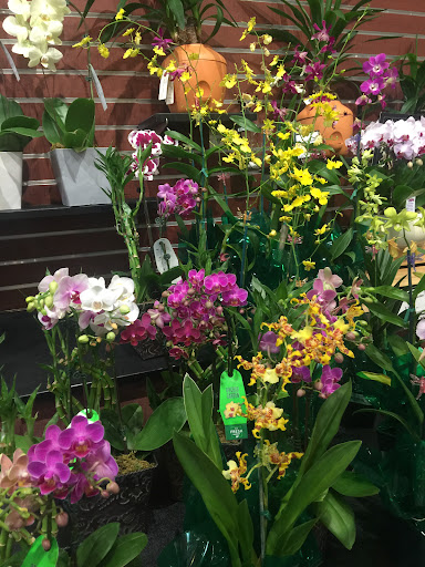 Grocery Store «The Fresh Market», reviews and photos, 52 Marion Ave, Saratoga Springs, NY 12866, USA