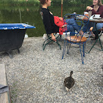 Photo n°5 de l'avis de Stephan.� fait le 26/11/2020 à 19:10 sur le  Cafe Gans am Wasser à Munich
