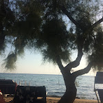 Photo n°1 de l'avis de TheKABIRIA82. fait le 11/09/2017 à 09:51 sur le  Hotel Miramare Gallipoli à Gallipoli