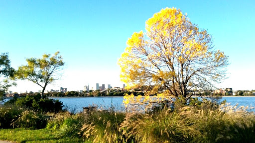Park «Joe Moakley Park», reviews and photos, 1005 Columbia Road, Boston, MA 02127, USA