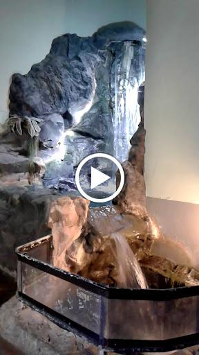 Pet Store «Incredible Pets Inc», reviews and photos, 2255 N Wickham Rd # 102, Melbourne, FL 32935, USA