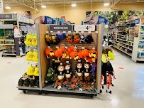 PetSmart - Photo 6 - Car repair in Clearwater, FL, St. Petersburg