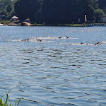 Photo n° 4 de l'avis de Joelle.e fait le 11/06/2023 à 15:46 pour Auchan Hypermarché Englos à Englos