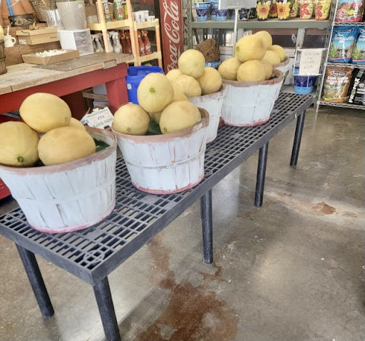 Florist «Sunshine Flowers», reviews and photos, 4509 Rainbow Blvd, Kansas City, KS 66103, USA