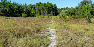 Econlockhatchee Sandhills Conservation Area