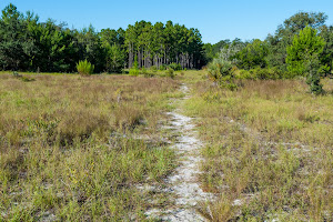 Econlockhatchee Sandhills Conservation Area