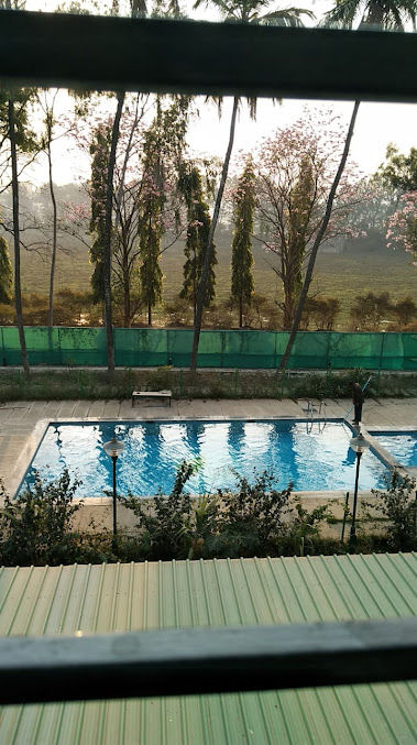 Google Maps image 27