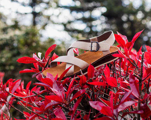 Shoe Store «Shoe Mill», reviews and photos, 8616 SE Sunnyside Rd, Clackamas, OR 97015, USA