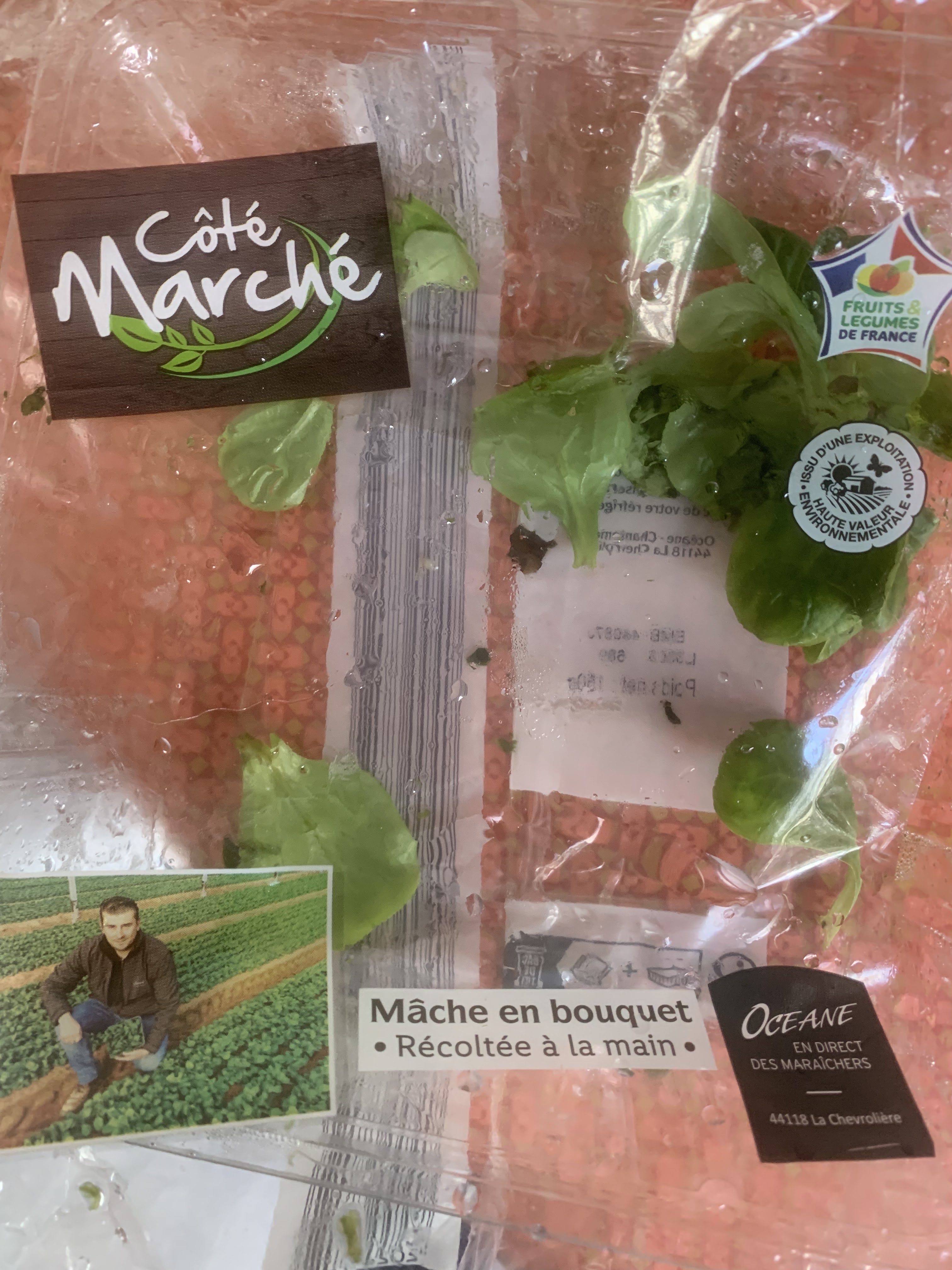 Photo n° 2 de l'avis de Sandrine.a fait le 27/01/2024 à 13:38