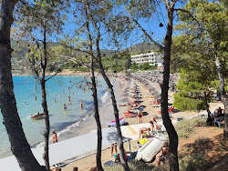 Foto di Spiaggia di Avlaki con molto pulita livello di pulizia