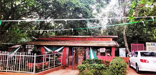 Ogba Zoo, Benin City., Ogogugbo, Benin City, Nigeria, Public School, state Ondo