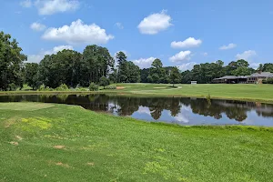 Densons Creek Golf Course image