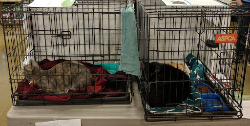 Pet Supply Store «PetSmart», reviews and photos, 2141 N Rose Ave, Oxnard, CA 93036, USA