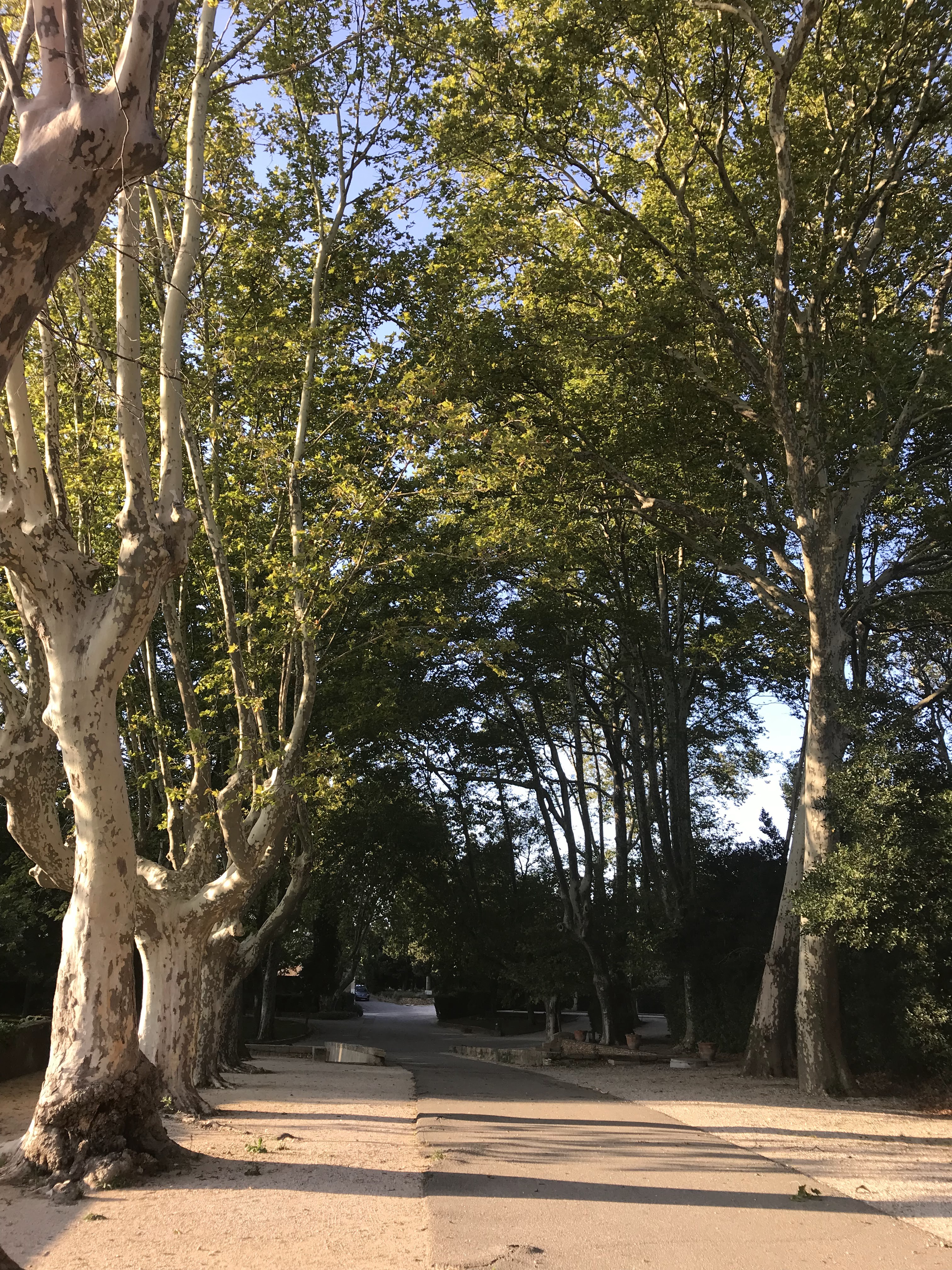 Photo n° 2 de l'avis de Houses.e fait le 13/09/2018 à 13:52
