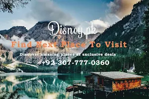 Disney Tours and Travels image