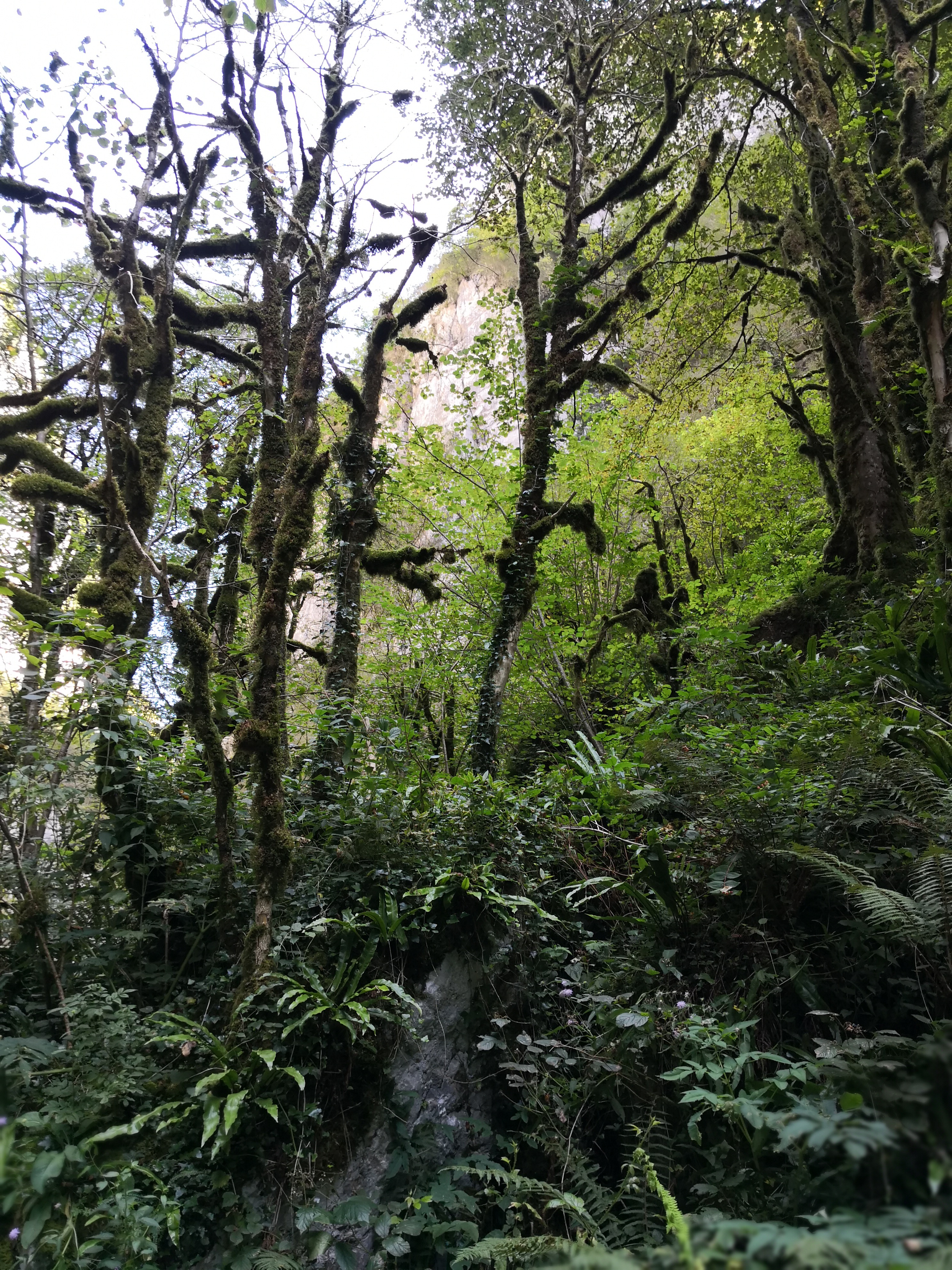 Photo n° 7 de l'avis de bruno.a fait le 28/08/2018 à 09:33