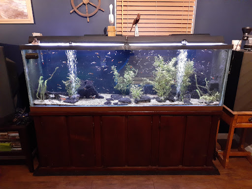 Tropical Fish Store «Optimum Aquarium», reviews and photos, 840 Ernest W Barrett Pkwy NW #700, Kennesaw, GA 30144, USA