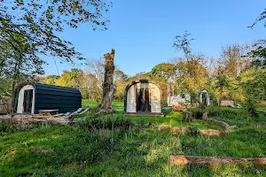 Emlyn's Coppice - Luxury Woodland Glamping image