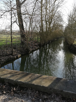 Conche des Maufrais à Damvix