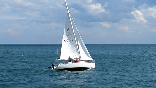 Park «Lincoln Park», reviews and photos, 2045 N Lincoln Park W, Chicago, IL 60614, USA