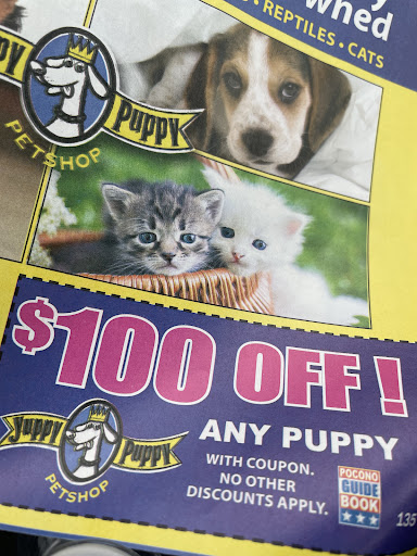 Pet Store «Yuppy Puppy Pet Shop», reviews and photos, 292 Frantz Rd, Stroudsburg, PA 18360, USA