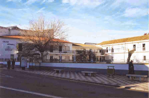 Ave Maria College Albolote, Escuela en Albolote,Granada