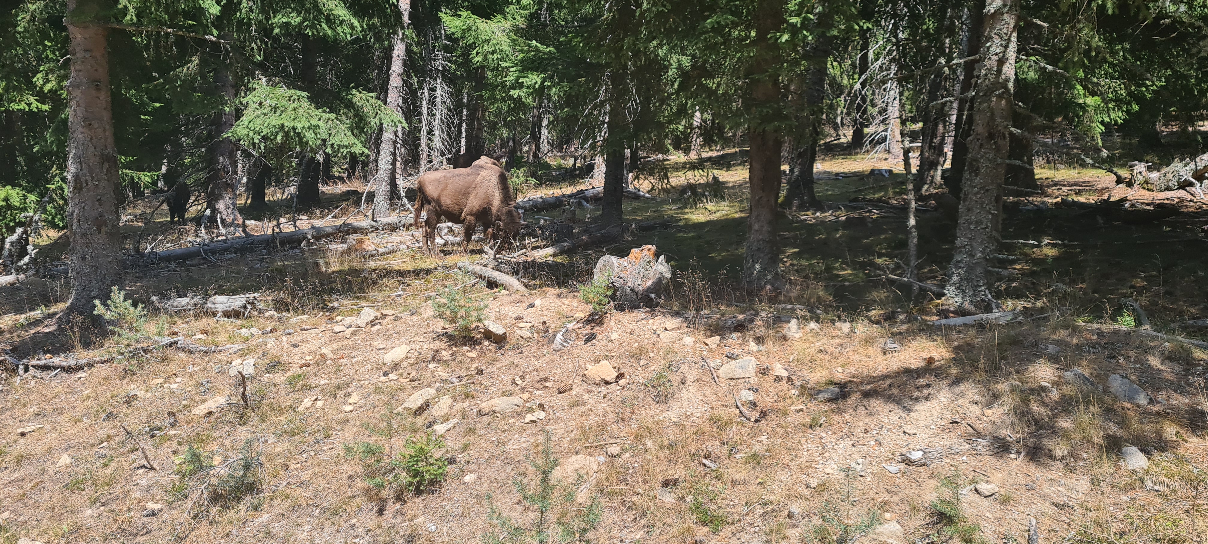 Photo n° 6 de l'avis de Marion.a fait le 05/08/2022 à 13:21
