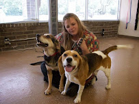 TLC Pet Grooming - Photo 8 - Car repair in Friendswood, TX, League City