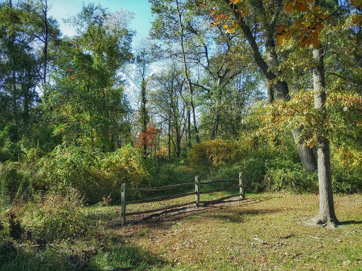 Nature Preserve «Jurgensen Woods Nature Preserve», reviews and photos, 183rd St, Lansing, IL 60438, USA