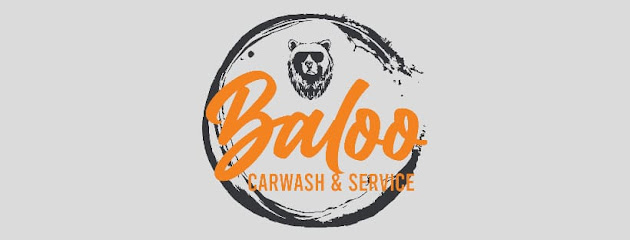 BALOO CAR WASH & SERVICE