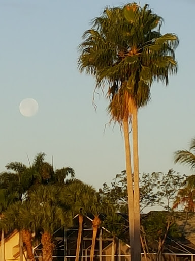 Country Club «Ironhorse Country Club», reviews and photos, 8055 Ironhorse Blvd, West Palm Beach, FL 33412, USA