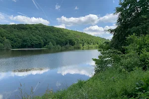 Möttauer Weiher image