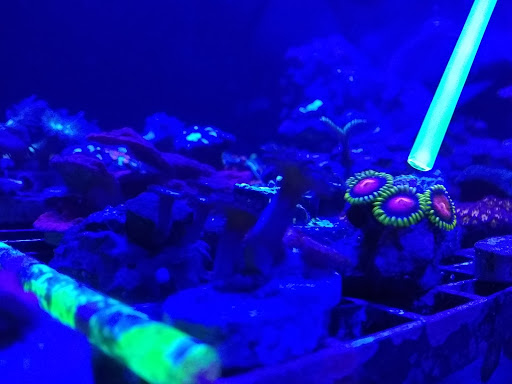 Pet Store «Pet World Ltd», reviews and photos, 14501 Warwick Blvd, Newport News, VA 23608, USA