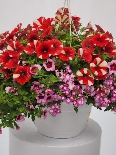 Garden Center «Dees Nursery & Florist», reviews and photos, 69 Atlantic Ave, Oceanside, NY 11572, USA