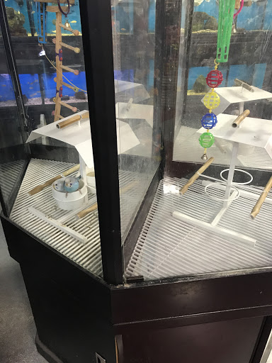 Pet Store «Pet Goods», reviews and photos, 1125 Central Park Ave, Scarsdale, NY 10583, USA