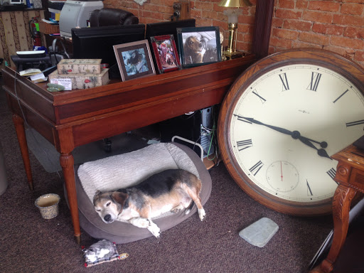 Electronics Store «Your Digital Partner - The Electronics Store in Loudonville, Ohio», reviews and photos, 207 W Main St, Loudonville, OH 44842, USA