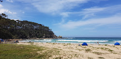 Foto de Lilli Pilli Beach com muito limpo nível de limpeza