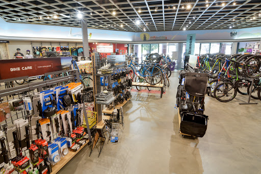 Bicycle repair shop Hayward
