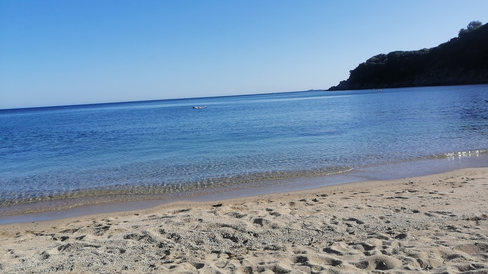 Porto Luna'in fotoğrafı vahşi alan