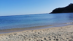 Porto Luna'in fotoğrafı vahşi alan