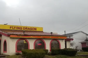 Flying Dragon image