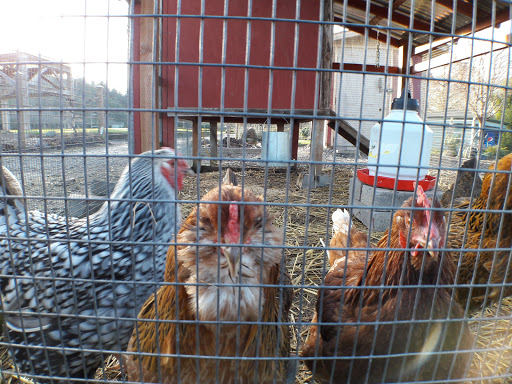 Resort «Oregon Garden», reviews and photos, 879 W Main St, Silverton, OR 97381, USA