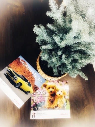 Auto Insurance Agency «State Farm: Nick Reed», reviews and photos