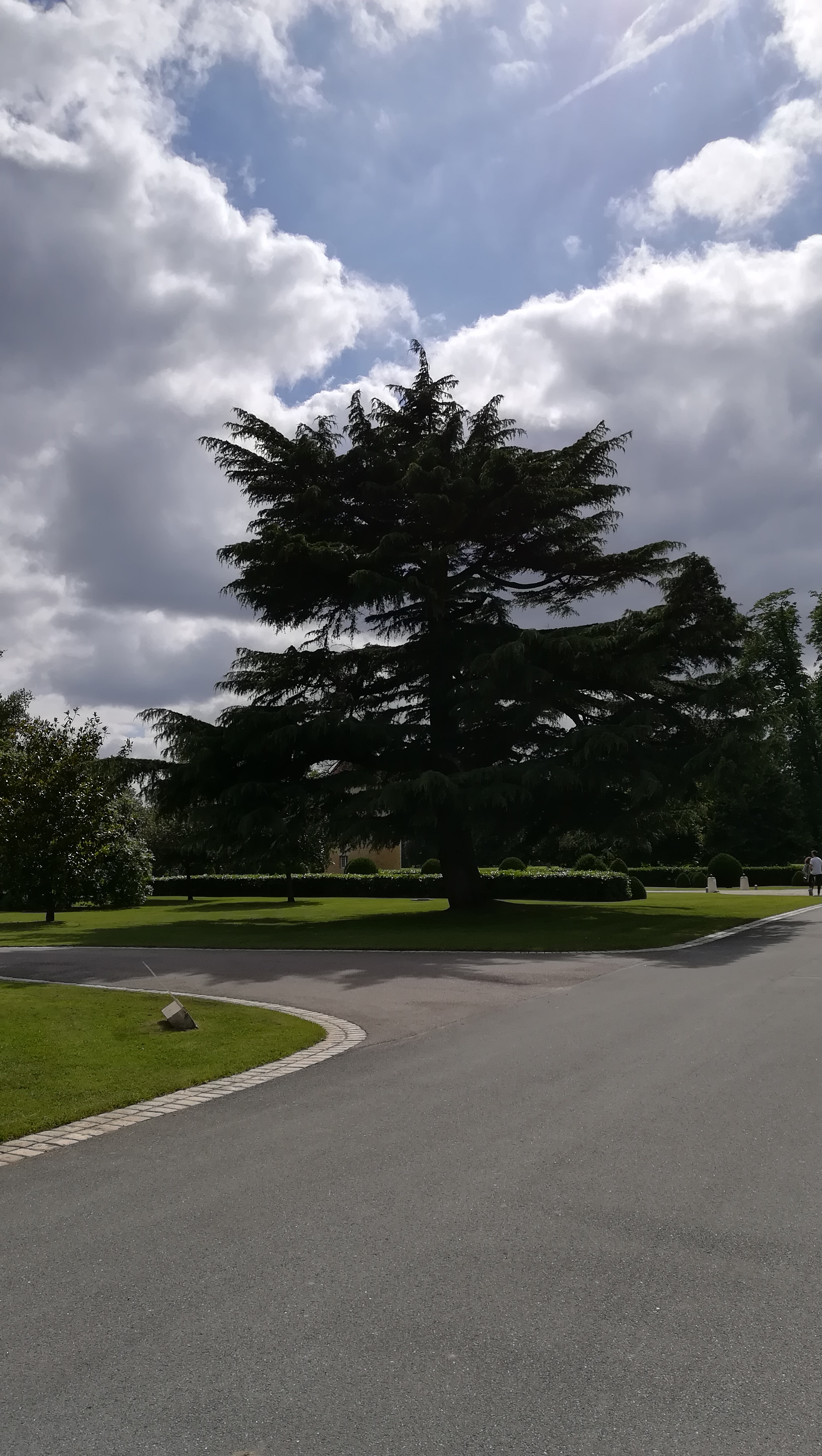Photo n° 4 de l'avis de Flores.a fait le 16/06/2018 à 16:46
