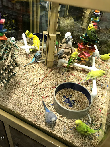 Pet Supply Store «Pet Supermarket, Inc.», reviews and photos, 1052 Peachtree Industrial Blvd, Suwanee, GA 30024, USA