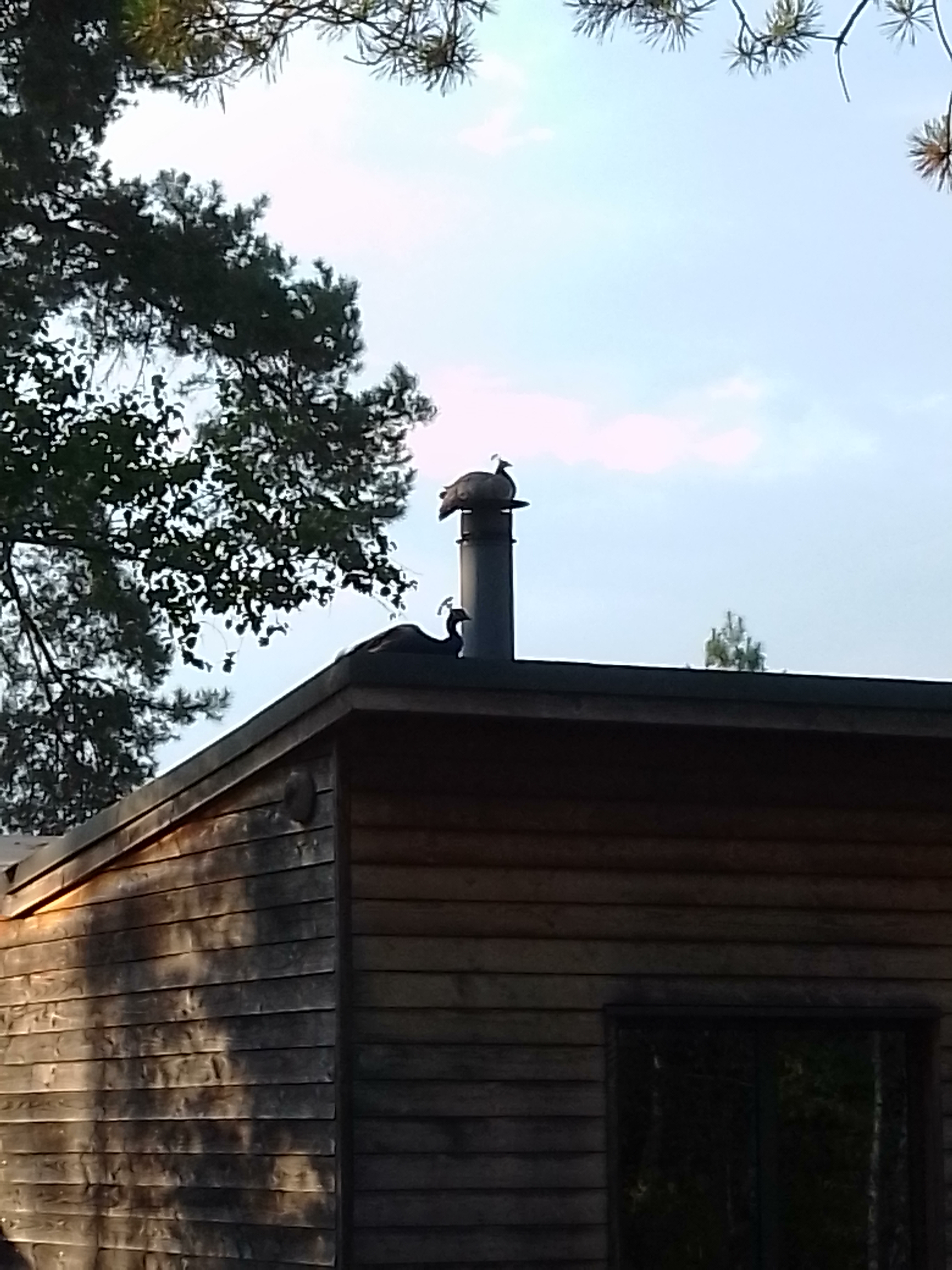 Photo n° 25 de l'avis de emmanuel.e fait le 04/09/2022 à 16:52